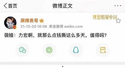 娱乐圈吃瓜读心术百度网盘,吃瓜读心术，洞察明星内心世界