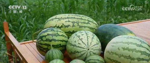 吃瓜新闻,吃瓜群众揭秘明星幕后故事