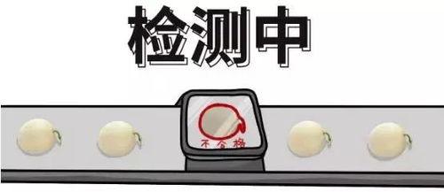 吃瓜群众另一种说法,揭秘“吃瓜群众”背后的真实故事