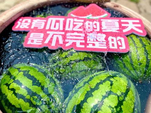 大型吃瓜现场图,揭秘娱乐圈幕后风云