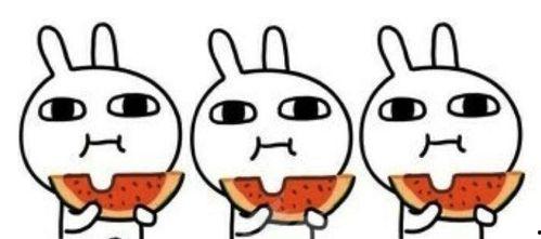 娱乐吃瓜群众陈亚男,娱乐界的“吃瓜群众”传奇